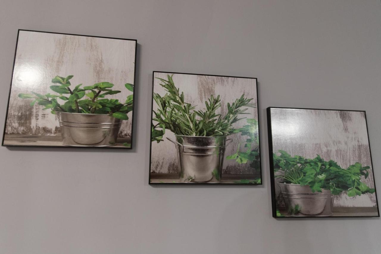 Apartament Marlenka Nysa Eksteriør bilde